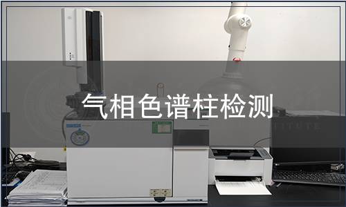 氣相色譜柱檢測